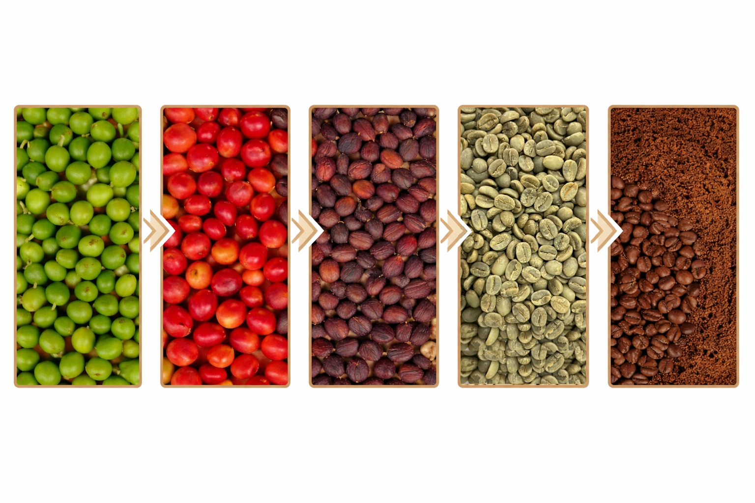 Artisanal coffee process